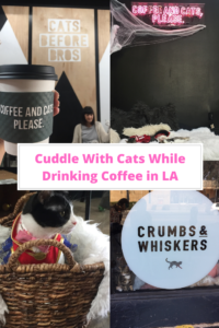 crumbs and whiskers los angeles