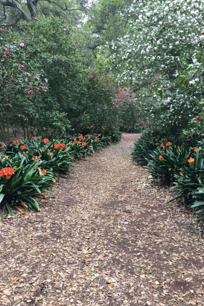 What to Know About Descanso Gardens Free Day Admission