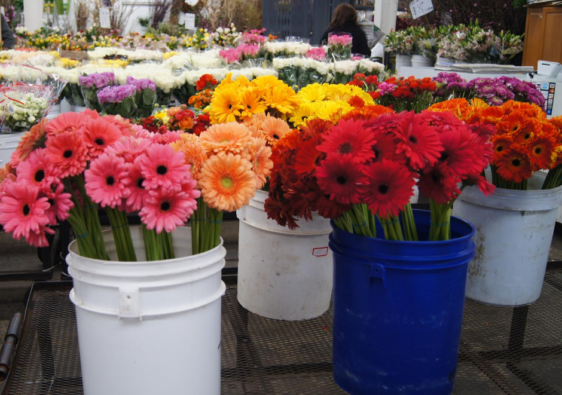 the los angeles flower market