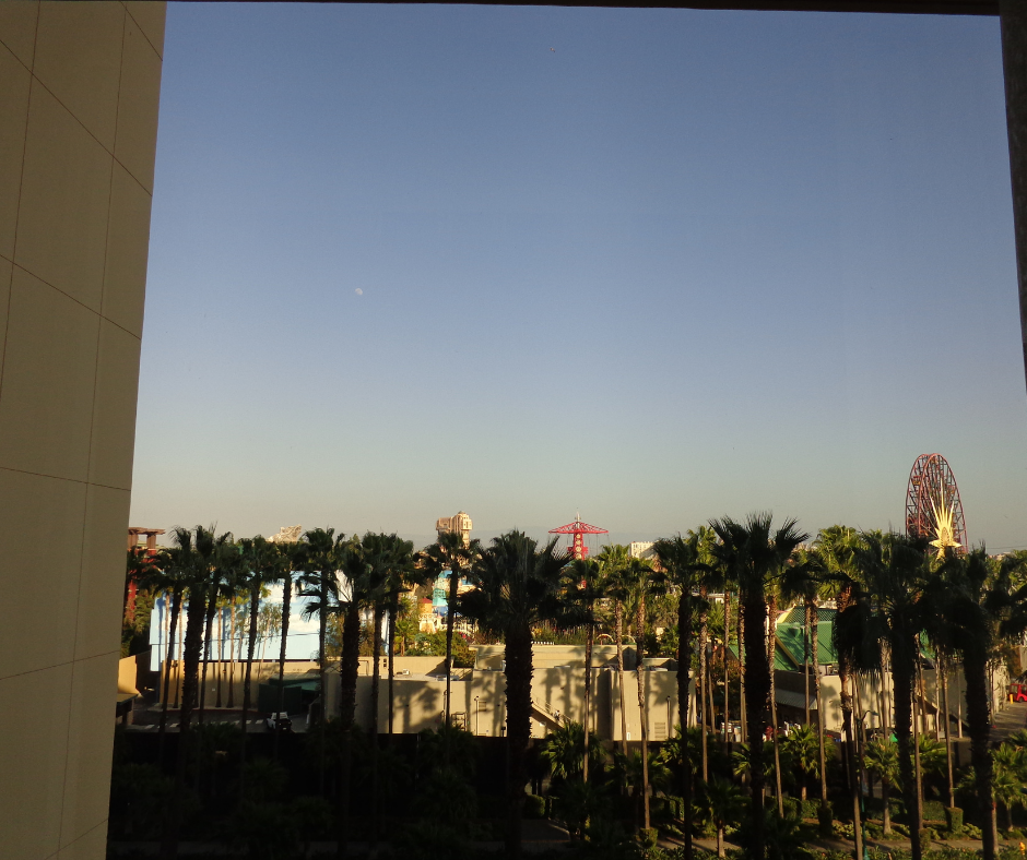 view from the paradise pier hotel