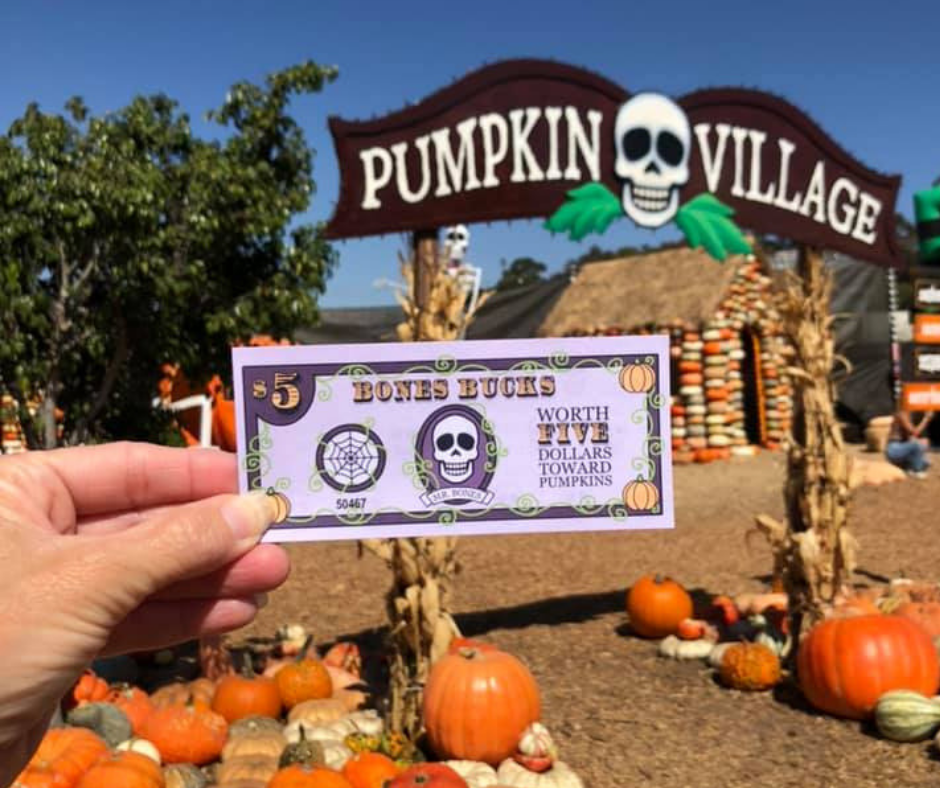 Pumpkin Rock Hike in Norco is the Perfect Fall Activity