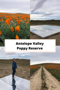 antelope valley poppy reserve