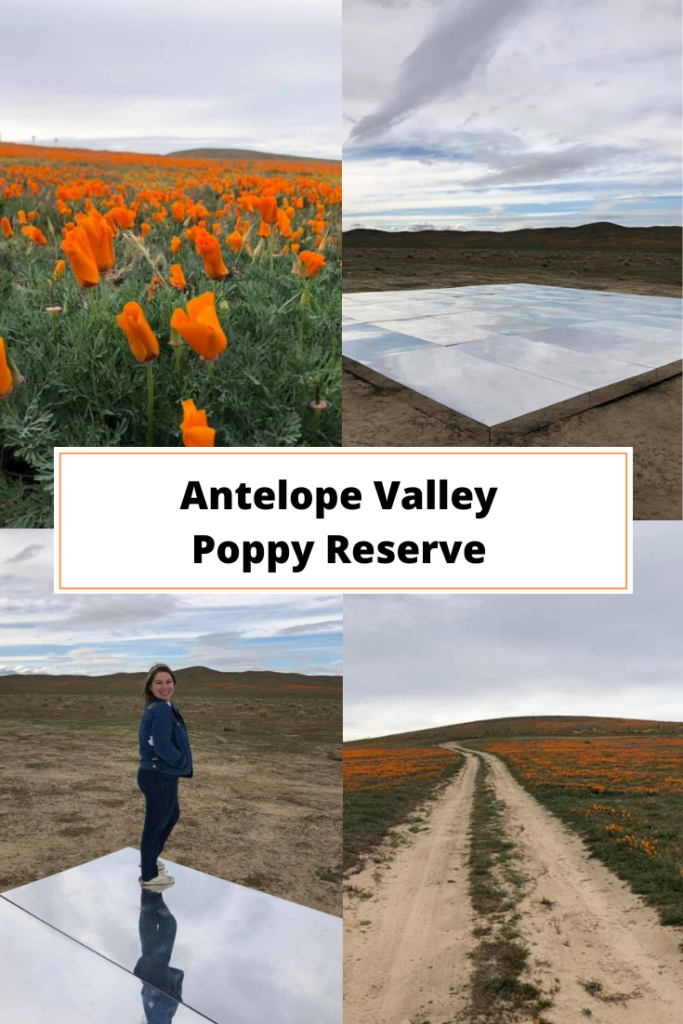 antelope valley poppy reserve