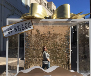 rodeo drive christmas